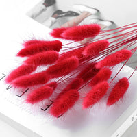 Home Decoration Ornaments - Rabbit Tail Grass Dried Flower Bouquet