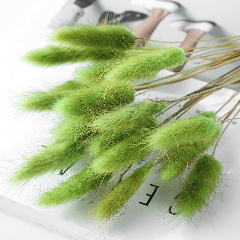 Home Decoration Ornaments - Rabbit Tail Grass Dried Flower Bouquet