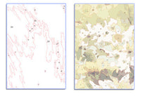 Digital Oil Painting Custom Coloring Custom Oil Painting Coloring Painting Batch