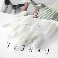 Home Decoration Ornaments - Rabbit Tail Grass Dried Flower Bouquet