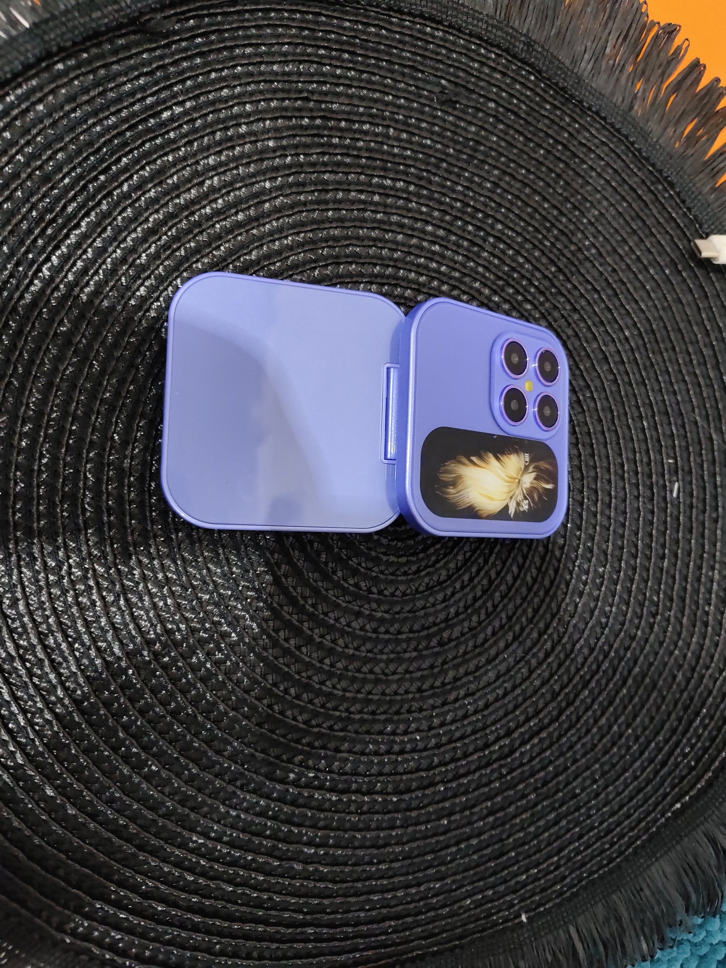 Folding Screen Dual Card Dual Standby 2G Mobile Phone