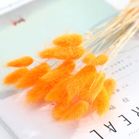 Home Decoration Ornaments - Rabbit Tail Grass Dried Flower Bouquet