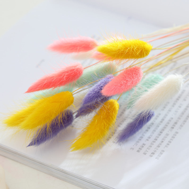 Home Decoration Ornaments - Rabbit Tail Grass Dried Flower Bouquet