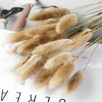 Home Decoration Ornaments - Rabbit Tail Grass Dried Flower Bouquet