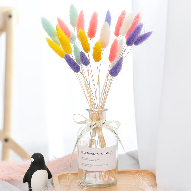 Home Decoration Ornaments - Rabbit Tail Grass Dried Flower Bouquet