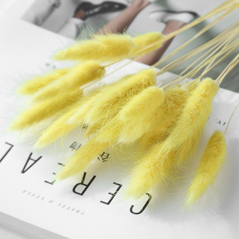 Home Decoration Ornaments - Rabbit Tail Grass Dried Flower Bouquet