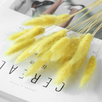 Home Decoration Ornaments - Rabbit Tail Grass Dried Flower Bouquet